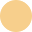 orange circle